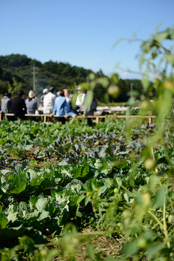 food, eat, life, photographer, Japan