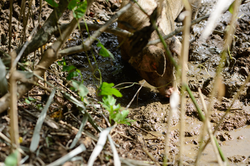 自然, 食, 旅, 人, 暮らし, 撮影, フォトグラファー, 写真家