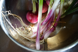 料理, 食, フード, 撮影, フォトグラファー, カメラマン, 写真家