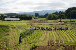 自然, 食, 旅, 人, 暮らし, 撮影, フォトグラファー, 写真家