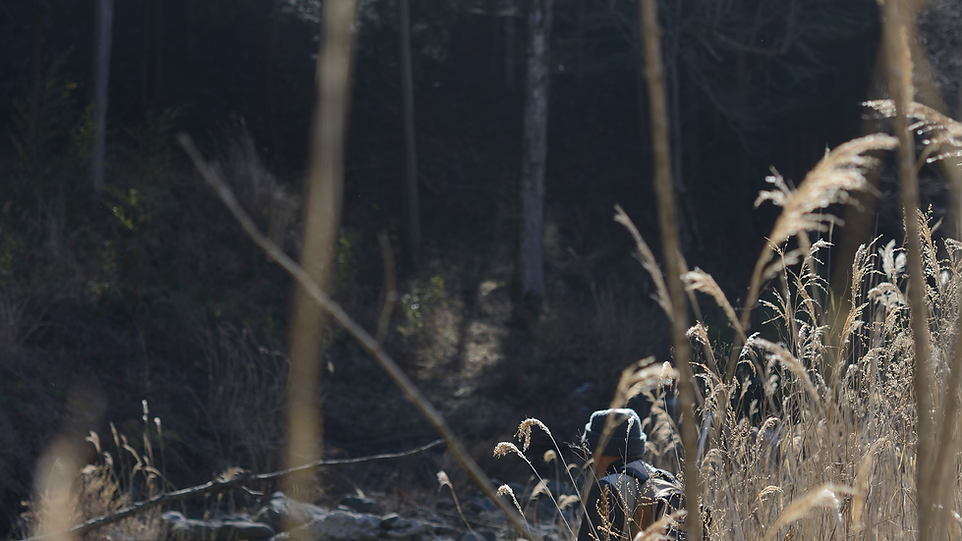 photographer, photo, Japan, Nagano, Junichi Miyazaki, food, portrait, life, nature, travel