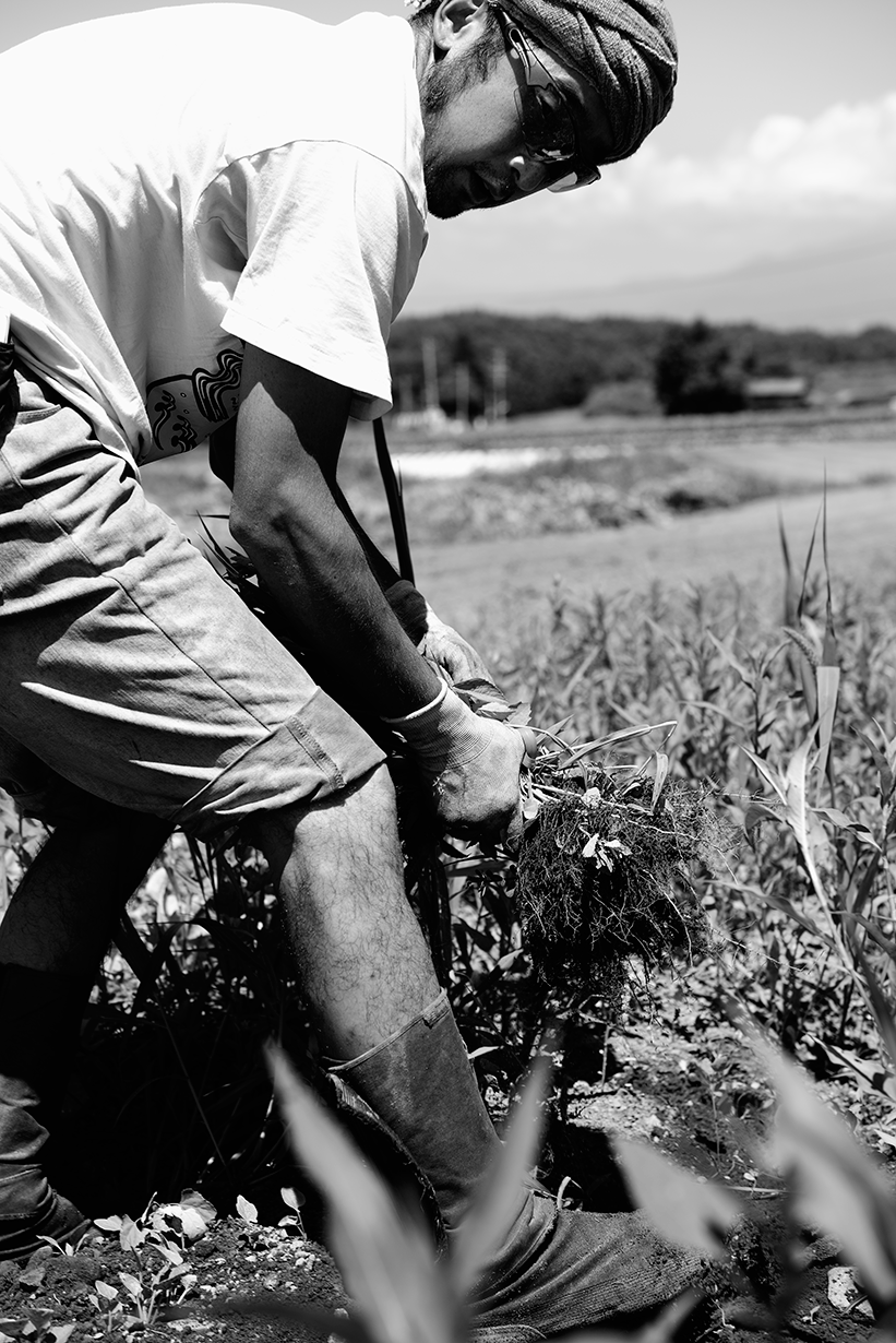 J.MIYAZAKI food photographer JAPAN PORTFOLIO LIFE 1 SLIDE