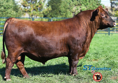 Screen Shot 2023-02-26 at 8.33.17 PM.png