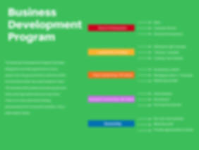 Business Development Program (1).png