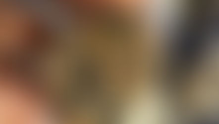 Extremely delicious energy bites