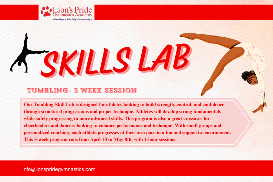 Skills Lab Banner (Rectangle Sticker (Landscape)).png