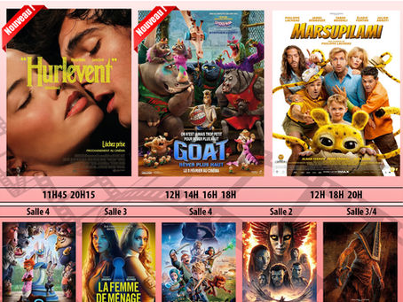 Programme du 13 au 17 Fevrier