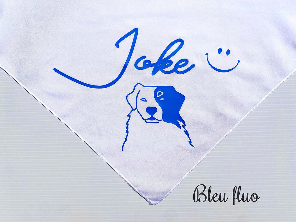 Miniature : Bandana personnalisé