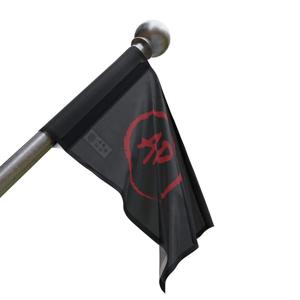 Thumbnail: AMERICAN REDNECK COMPANY FLAG