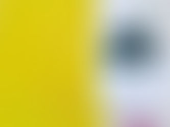 a catalog of trifles