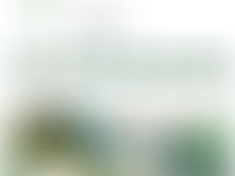 Dica do Br, todo dia uma dica especial!