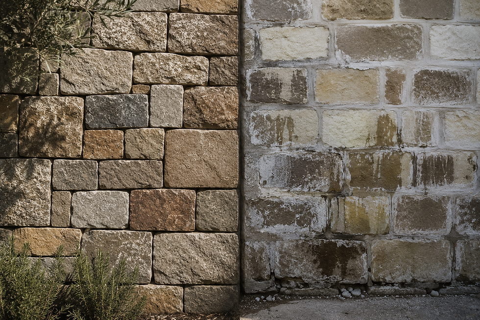 Diferencia entre pared con juntas tomadas y sin juntas tomadas