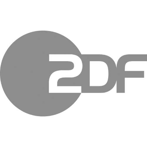 ZDF Logo in Grau