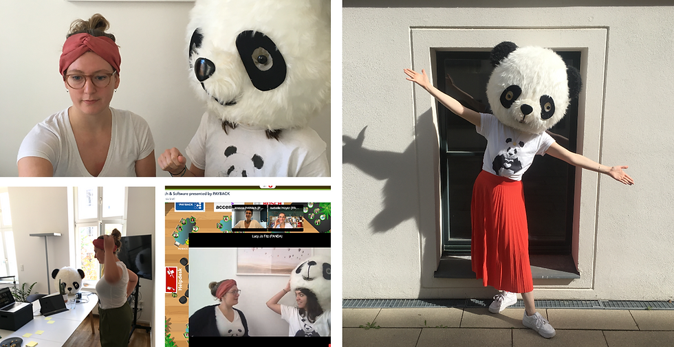 Behind the Scences – das PANDA-Team.