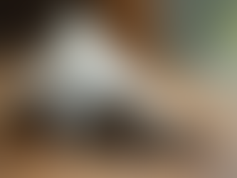 The Advantages of Pyramid Tea Bags: A Revolution in Tea Brewing