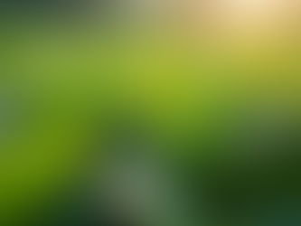 The Origins and Qualities of Praana Tea