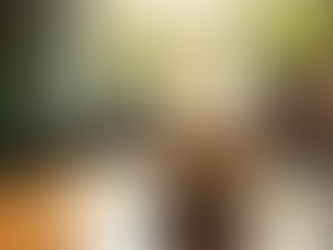 Discover the Benefits of Praana Tea to Rejuvenate Your Senses