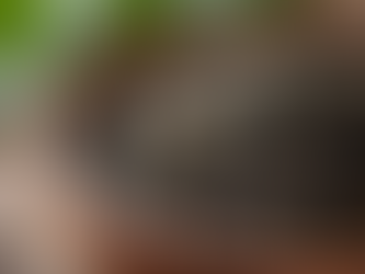 The Richness of Earl Grey Loose Tea Brewing