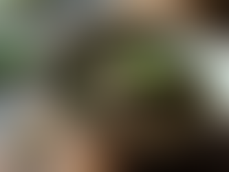 Buy Premium Tea Online in the UK: Your Guide to Online Tea Shopping UK