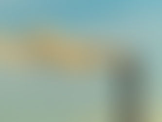 India Launches Carbon Credit Trading Market: Bamboo Emerges as a Sustainable Development Opportunity