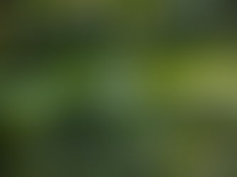 Weaving a New Bond of Healthy and Green Living with Bamboo Fibre.