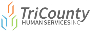 TCHS logo.png