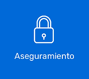 Proactivos Outsourcing Aseguramiento