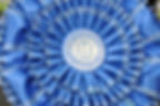 Sporting Group 1 Rosette