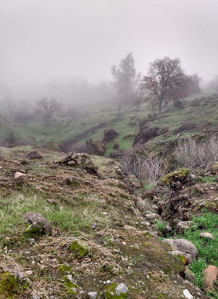 IMG_20220106_110447416_HDR.jpg
