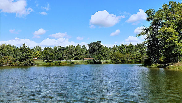 lake view east today.JPG