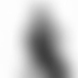 Coco Chanel’s Big Idea: From the Roaring 20’s to the New Millenium