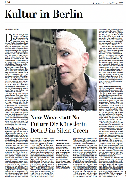 _der Tagespiegel4.png