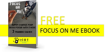 Free focus ebook.png