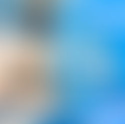 A Worldwide Open for 2021