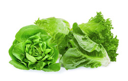 Ni retención de líquidos ni más gases: los falsos mitos sobre la lechuga