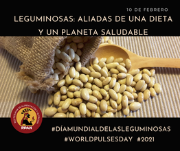 LEGUMINOSAS: ALIADAS DE UNA DIETA Y UN PLANETA SALUDABLE