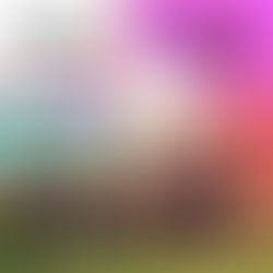 First Boat Qualifies for Paris 2024 Paralympic Games