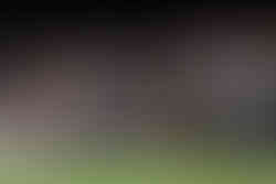 Alfie and Gordon react after winning the doubles on Court 1