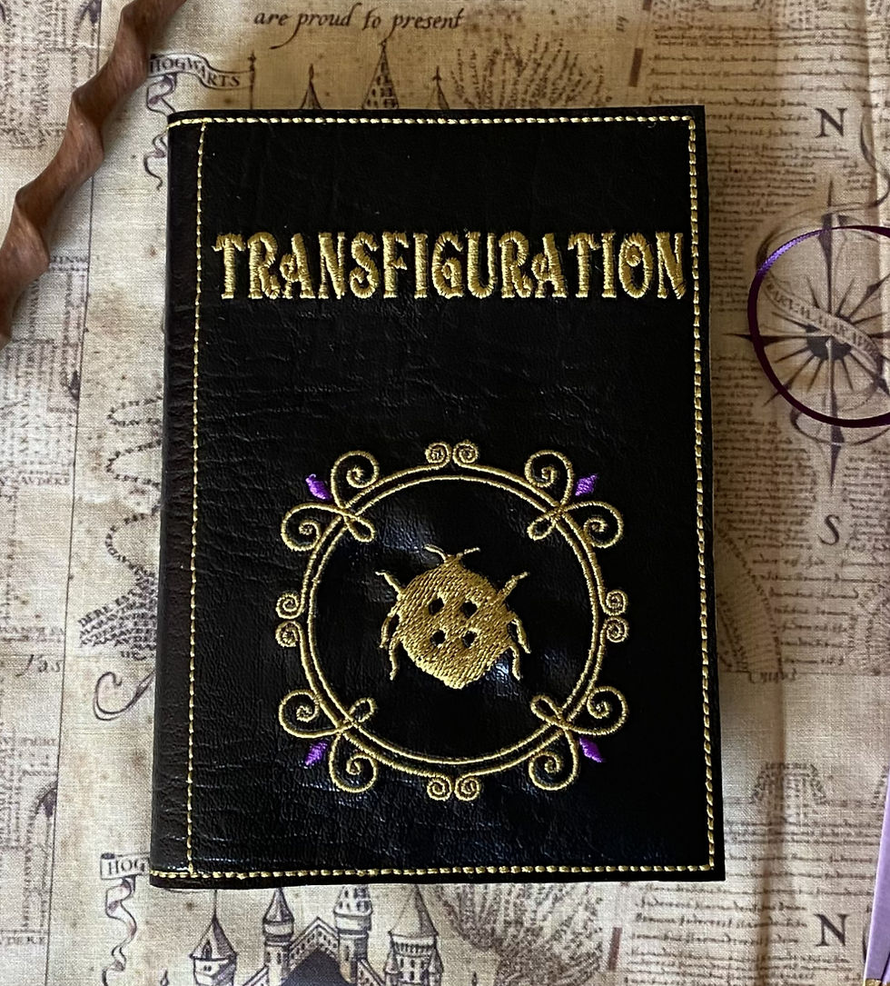 Thumbnail: Transfiguration - embroidered notebook cover