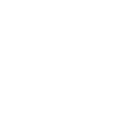 Handwriting Pattern White