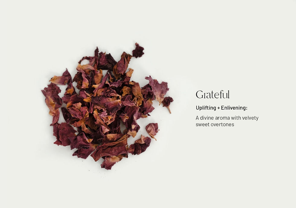 Thumbnail: Tea By 3 - Ginger&Me