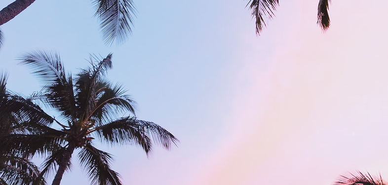 ec24784b-bb80-4d59-9256-b89e06162c6f.png