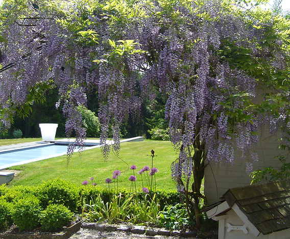 image002_edited.jpg