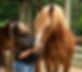 _0127815_edited.jpg