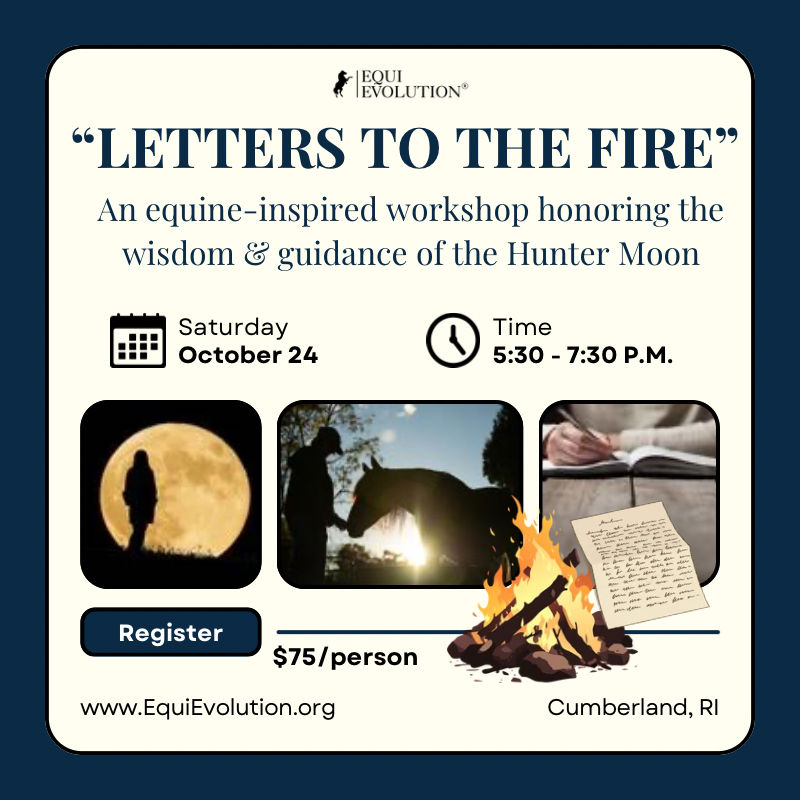 Letters to the Fire