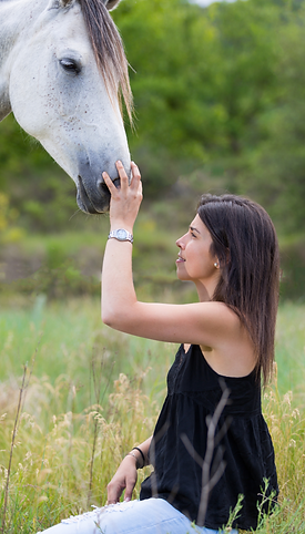 equine therapy