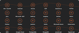 painel-tecnologias-next.png