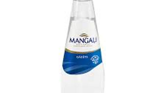 Sparkling mineral water 0.33l