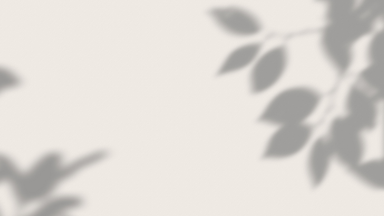 Grey Leaf Shadow Background.png