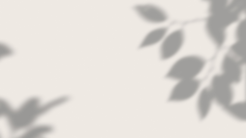 Grey Leaf Shadow Background.png